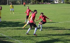 108969348_770520577090167_7243694234658933314_o