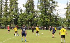 109097612_772699823538909_6829270354614454083_o