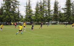 109577274_772699686872256_3168572661681940738_o