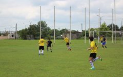 109685885_772699943538897_4726336737127222455_o