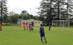 113338430_777628286379396_6162810654962417181_o