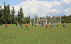 117643492_793097068165851_3606619391776540125_o