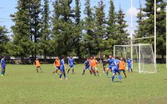 117644156_793097354832489_8160629723614088059_o