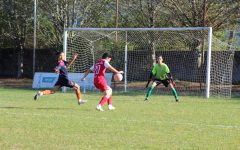 301786582_501363015330255_7341854254916158314_n