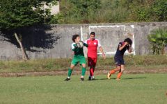 302316178_501362708663619_9050720680877343471_n