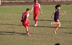 302342158_501363208663569_7867743274029028549_n