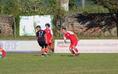 305221125_501362248663665_6220650983729576235_n