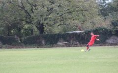 306823445_502122991920924_2430433827546689140_n